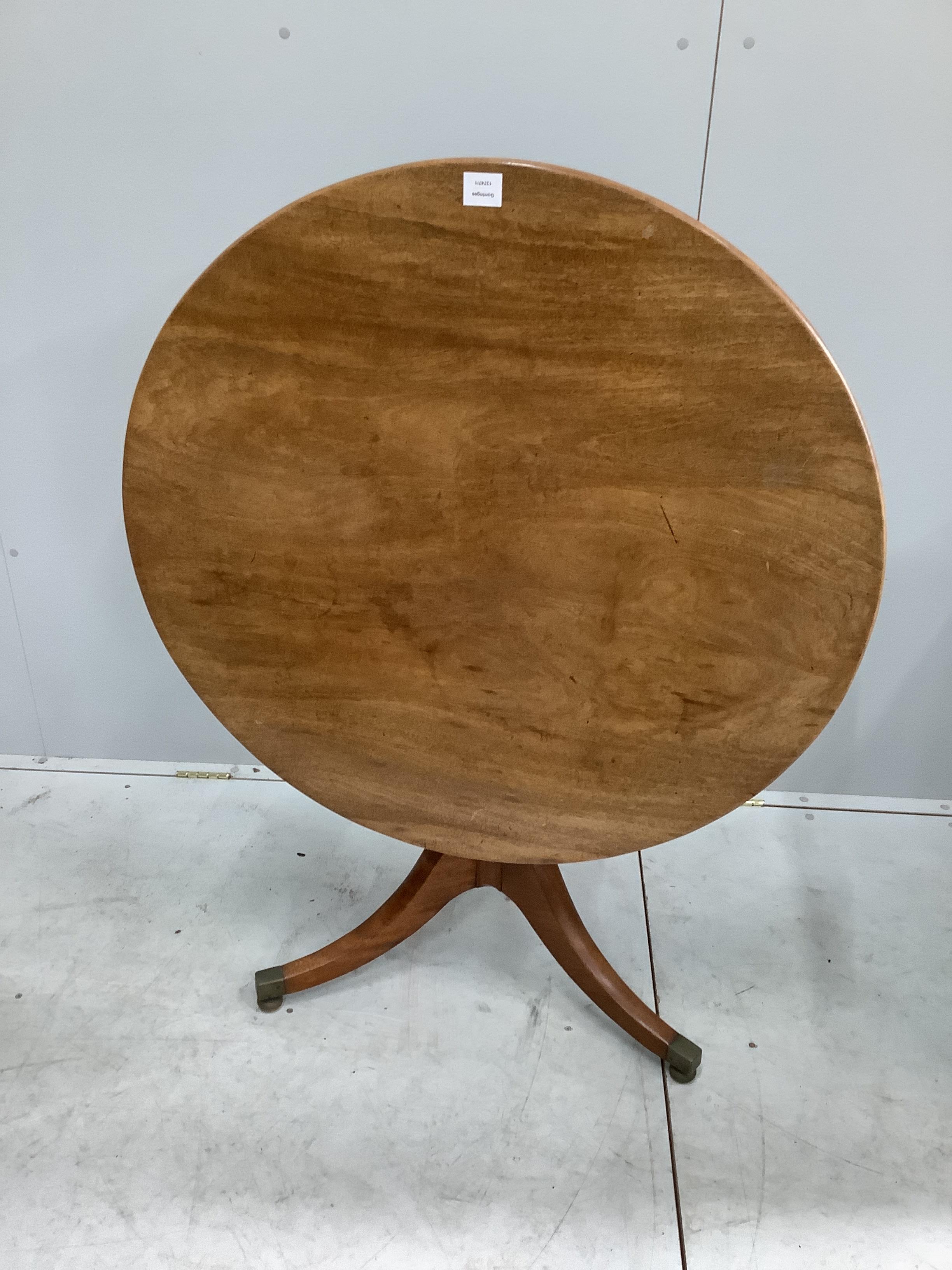 A Regency circular mahogany tilt top tea table, diameter 92cm, height 71cm